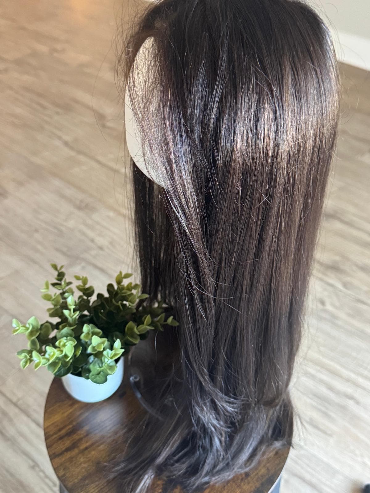 Long straight dark brown wig on a mannequin head next to a small plant.