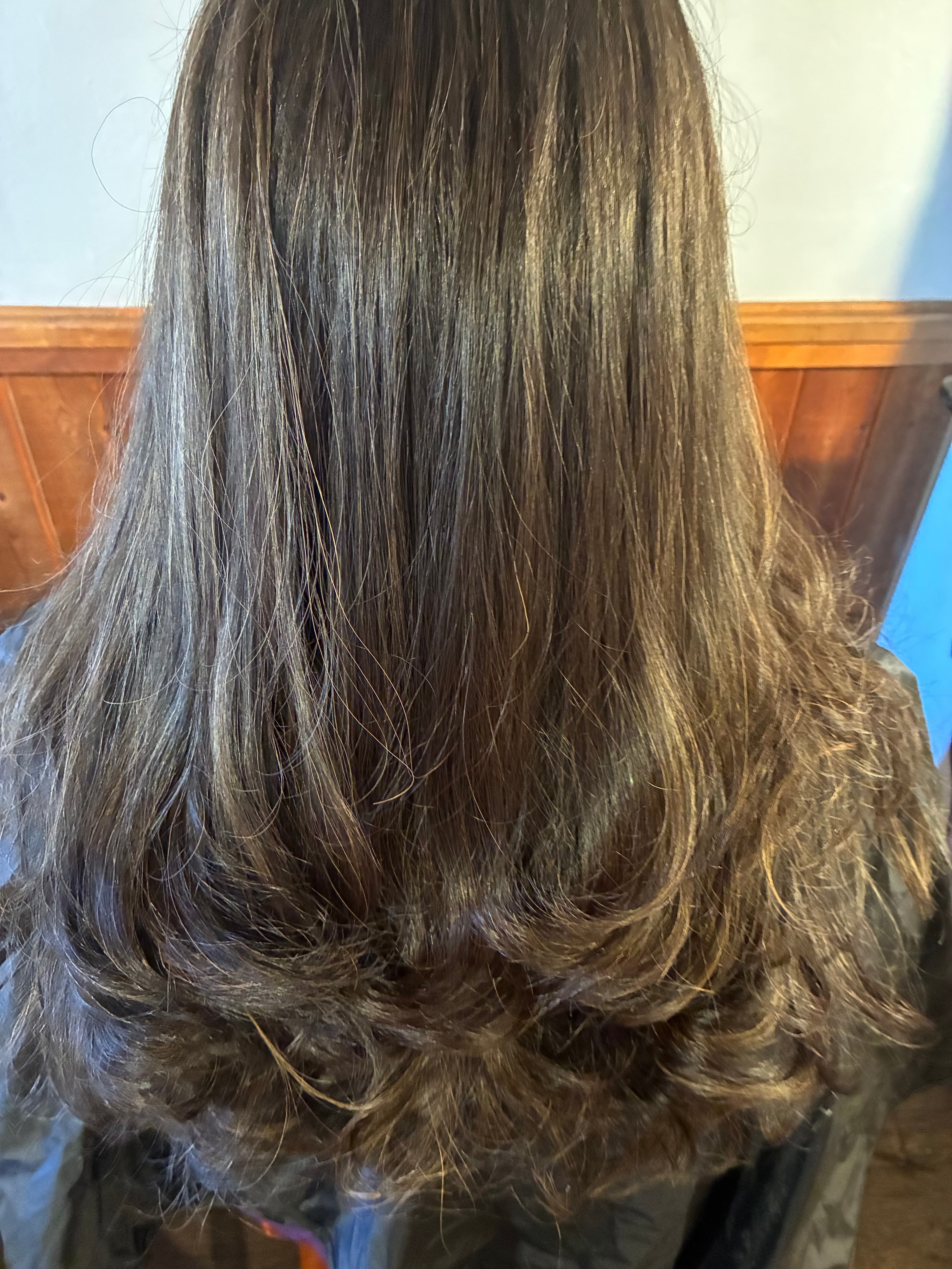 Back view of long dark brown hair with soft curls and subtle highlights.
